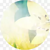 ��ɫ��ɫ���ﶯ����-������