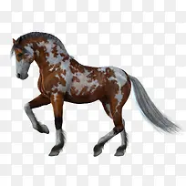 �ֻ��ز���ʸ��ͼ-������