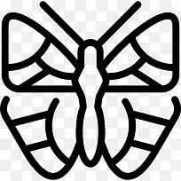 橙尖粉蝶图标-空若网 橙尖粉蝶图标-空若网