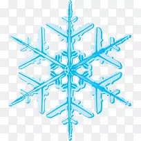 雪花蓝雪花-空若网 雪花蓝雪花-空若网