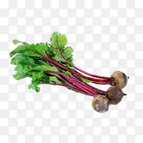 红萝卜蔬菜-空若网 红萝卜蔬菜-空若网