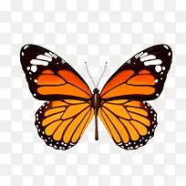 �ֻ����-������