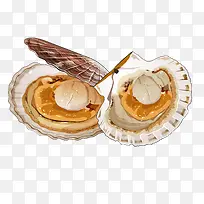 ��ͨ�ȱ�����ʳ�����-������