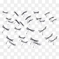 手绘蜻蜓-空若网 手绘蜻蜓-空若网