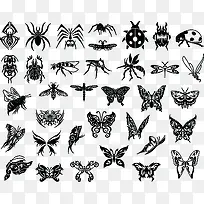 各种昆虫集合-空若网 各种昆虫集合-空若网