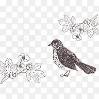 线描小鸟麻雀喜鹊-空若网 线描小鸟麻雀喜鹊-空若网