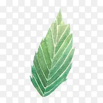 水彩画叶子-空若网 水彩画叶子-空若网