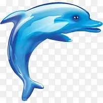 致爱企鹅-空若网 致爱企鹅-空若网