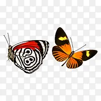 ����-������