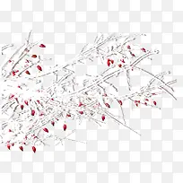 梅树-空若网 梅树-空若网