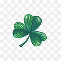 手绘三叶草-空若网 手绘三叶草-空若网