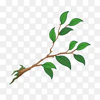 绿色树枝树苗-空若网 绿色树枝树苗-空若网