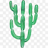 小清新插画广告设计卡通仙人掌-空若网 小清新插画广告设计卡通仙人掌-空若网