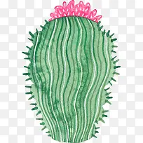 小清新插画广告设计卡通仙人掌-空若网 小清新插画广告设计卡通仙人掌-空若网