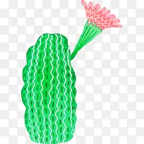 小清新插画广告设计卡通仙人掌-空若网 小清新插画广告设计卡通仙人掌-空若网