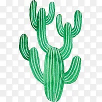 小清新插画广告设计卡通仙人掌-空若网 小清新插画广告设计卡通仙人掌-空若网