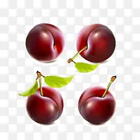 手绘李子-空若网 手绘李子-空若网