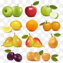 水果-空若网 水果-空若网