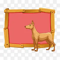 动物展板-空若网 动物展板-空若网