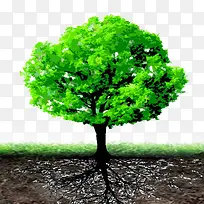 ����Ԫ��-������