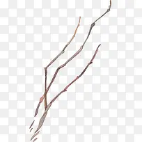水彩树枝-空若网 水彩树枝-空若网