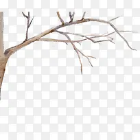 ��֦-������