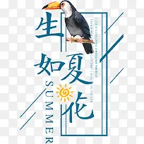 �����Ļ�-������