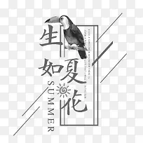 �����Ļ�-������