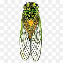 ÂÌÉ«²õ-¿ÕÈôÍø ÂÌÉ«²õ-¿ÕÈôÍø