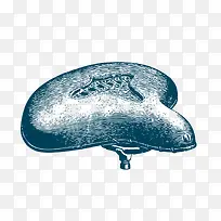 �ֻ泵��-������