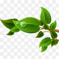 ��ͨ�ֻ���֦¶��-������