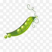 ʸ���ֻ��㶹��-������