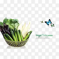 蔬菜篮子-空若网 蔬菜篮子-空若网