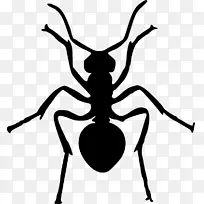 蚂蚁昆虫剪贴画-蚂蚁-空若网 蚂蚁昆虫剪贴画-蚂蚁-空若网