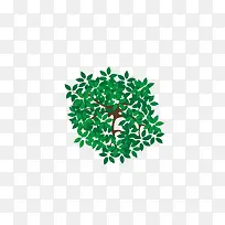 俯视茂盛的树-空若网 俯视茂盛的树-空若网