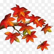 红色手绘卡通枫叶-空若网 红色手绘卡通枫叶-空若网