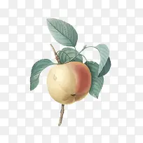 手绘苹果-空若网 手绘苹果-空若网