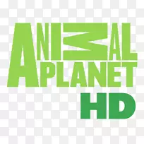 高清电视动物星球高清电视频道-空若网 高清电视动物星球高清电视频道-空若网