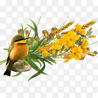 站在树枝上的鸟-空若网 站在树枝上的鸟-空若网