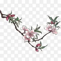 һ֦÷����ͨ�ز�ͼƬ-������