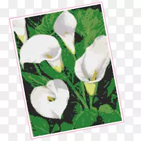 开花植物花瓣开花植物画框.针法-空若网 开花植物花瓣开花植物画框.针法-空若网