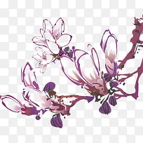 紫色国画玉兰-空若网 紫色国画玉兰-空若网