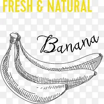 �����㽶pngʸ���ز�-������