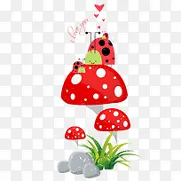 ��ͨĢ������-������