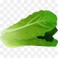 绿色水彩大白菜-空若网 绿色水彩大白菜-空若网