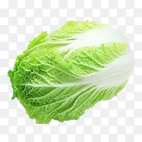 产品实物蔬菜-空若网 产品实物蔬菜-空若网