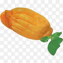 佛手瓜-空若网 佛手瓜-空若网