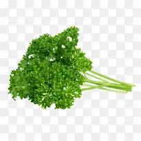 ��ɫ���ʵ��߲��ز�-������