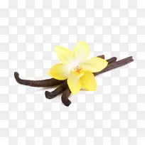 有机食品奶油牛油香草味香草-空若网 有机食品奶油牛油香草味香草-空若网