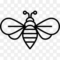 �۷�ͼ��-������